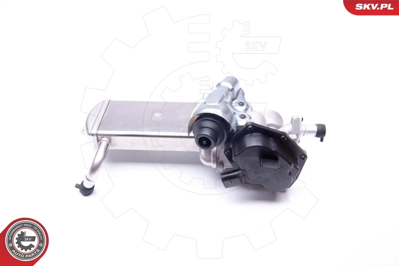 EGR Valve